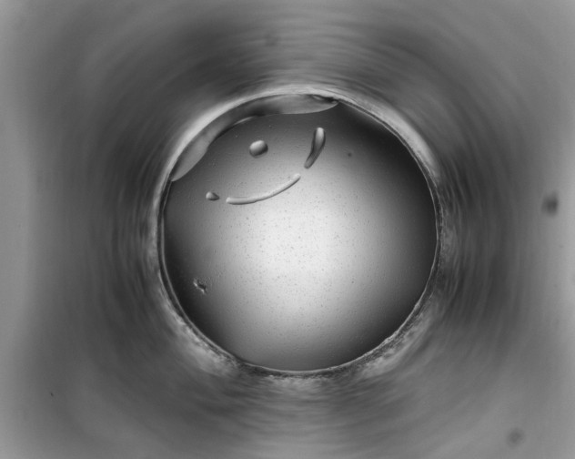 X0000099491004200805291103