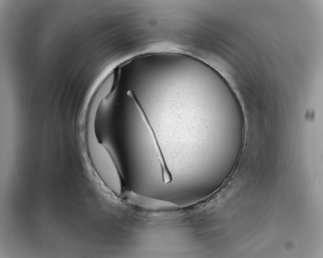 X0000099491008200805291103