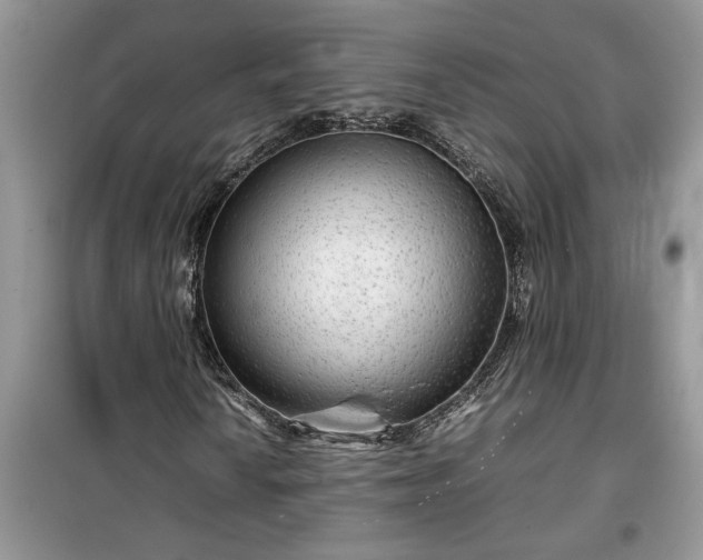 X0000099491010200805291102