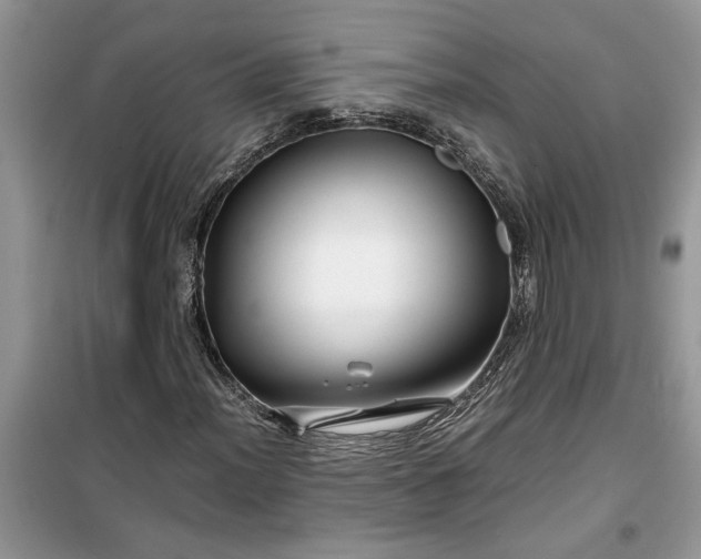 X0000099491012200805291102