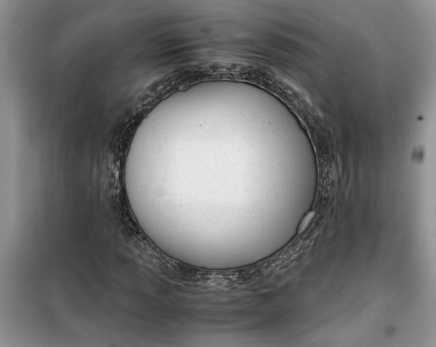 X0000099491013200805291102