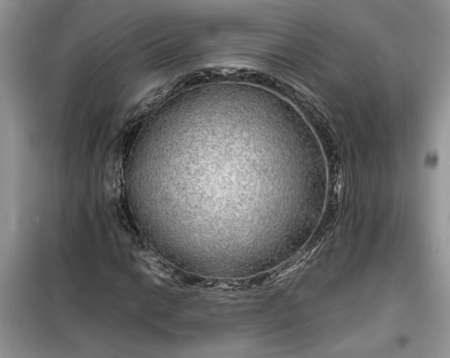 X0000099491014200805291102