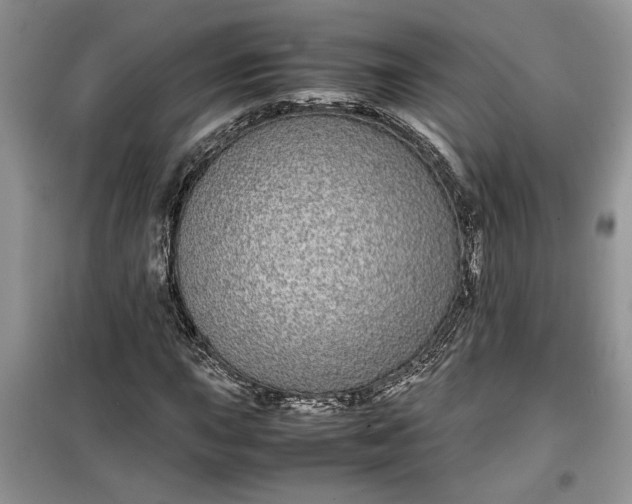 X0000099491015200805291102