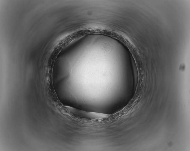 X0000099491016200805291102