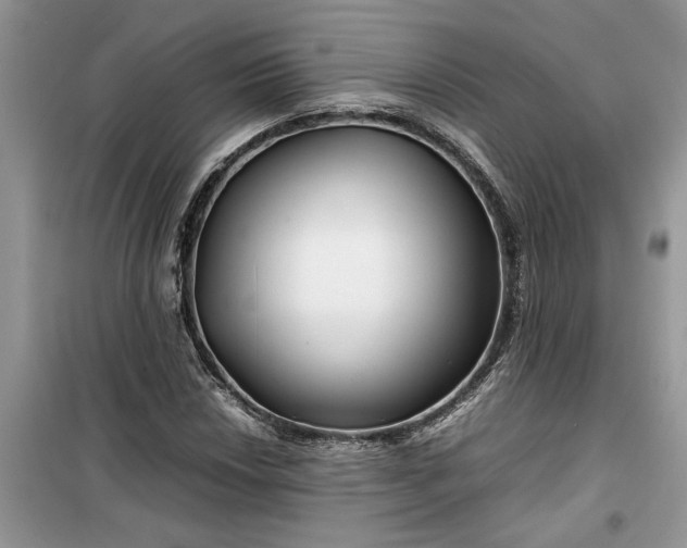 X0000099491018200805291102