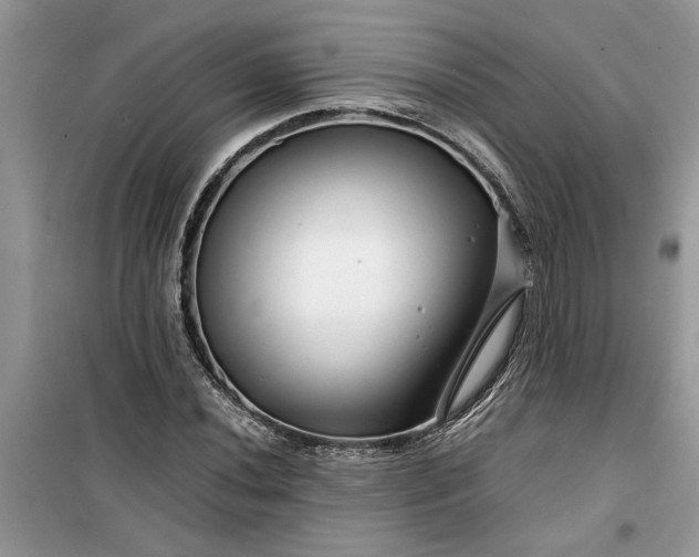 X0000099491020200805291102