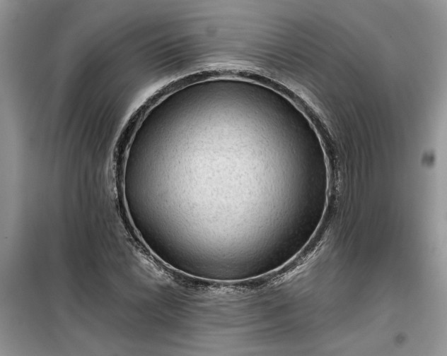 X0000099491022200805291102