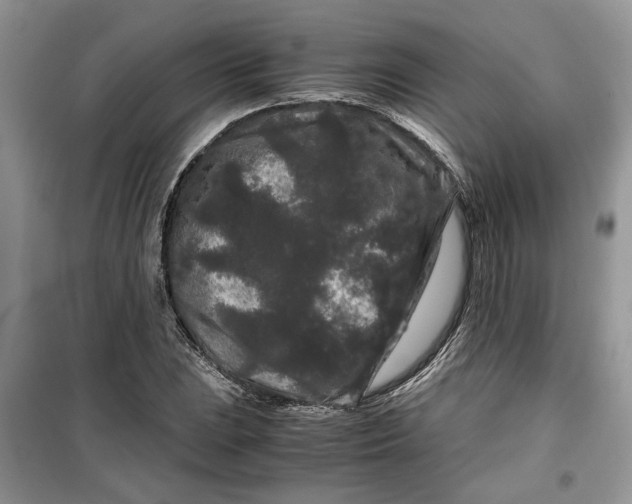 X0000099491023200805291102