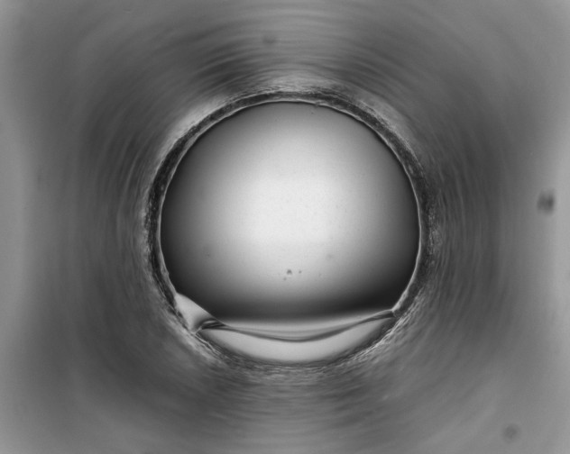 X0000099491026200805291102