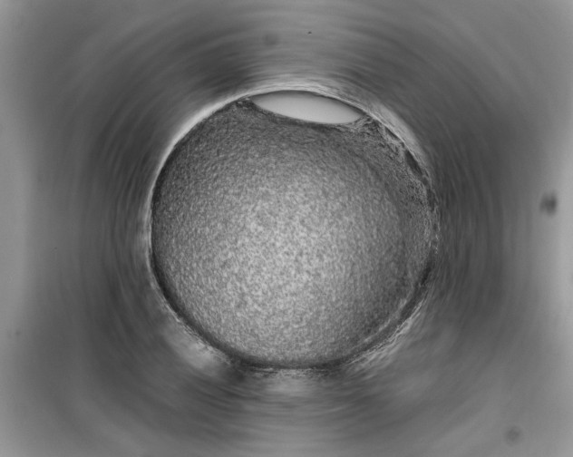 X0000099491028200805291102