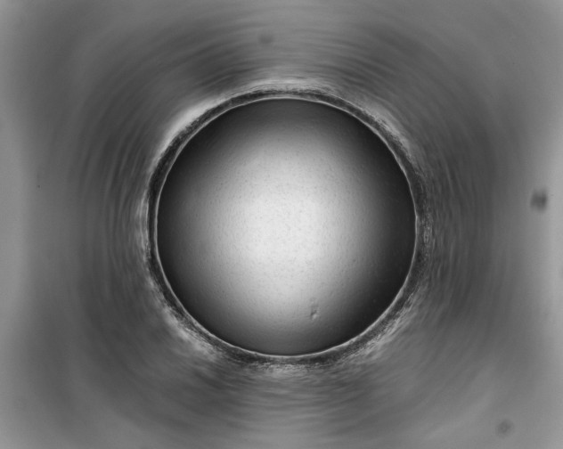 X0000099491030200805291102