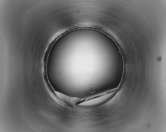 X0000099491034200805291102