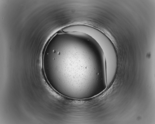 X0000099491036200805291102