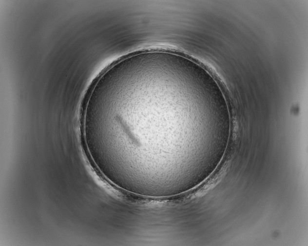 X0000099491038200805291102