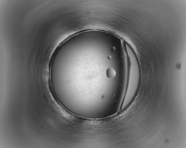 X0000099491040200805291102