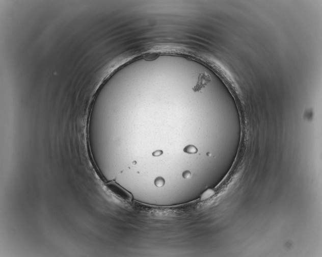 X0000099491041200805291102