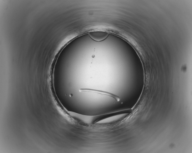 X0000099491042200805291102