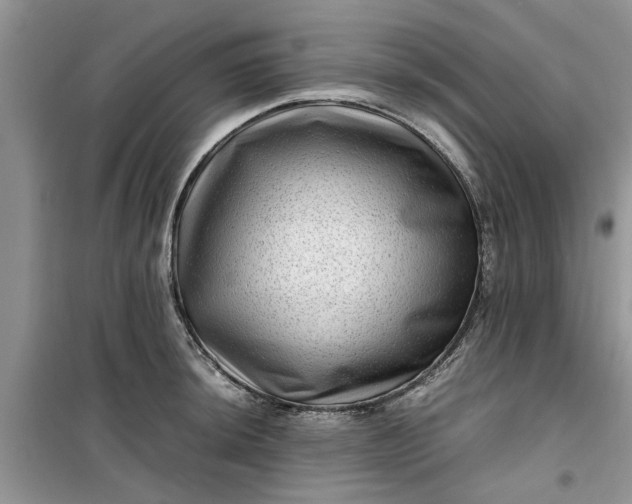 X0000099491044200805291102