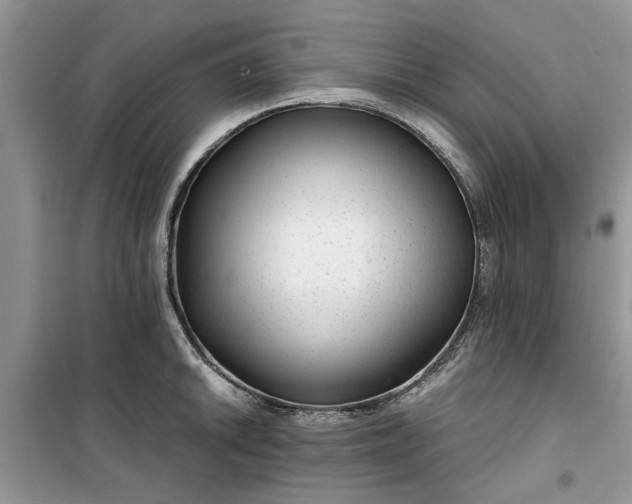 X0000099491046200805291102