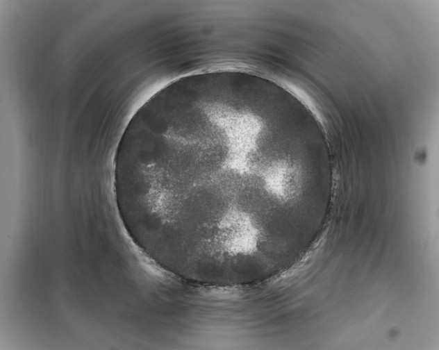 X0000099491047200805291102