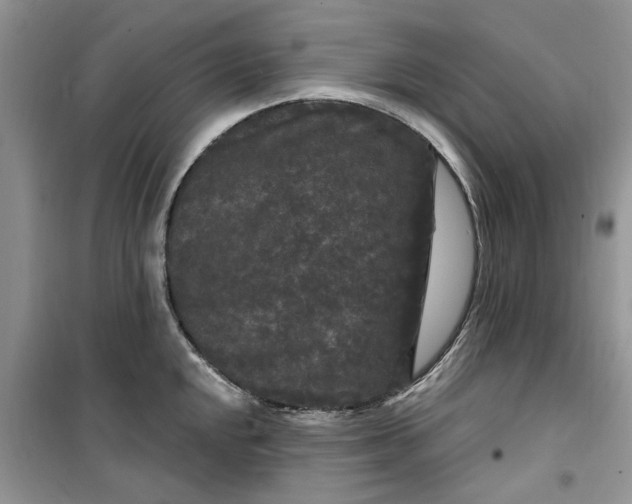 X0000099491048200805291102