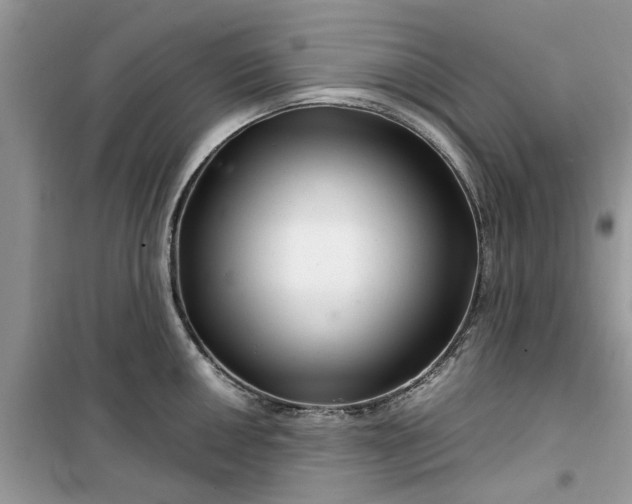 X0000099491050200805291103