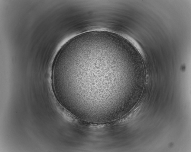 X0000099491051200805291103