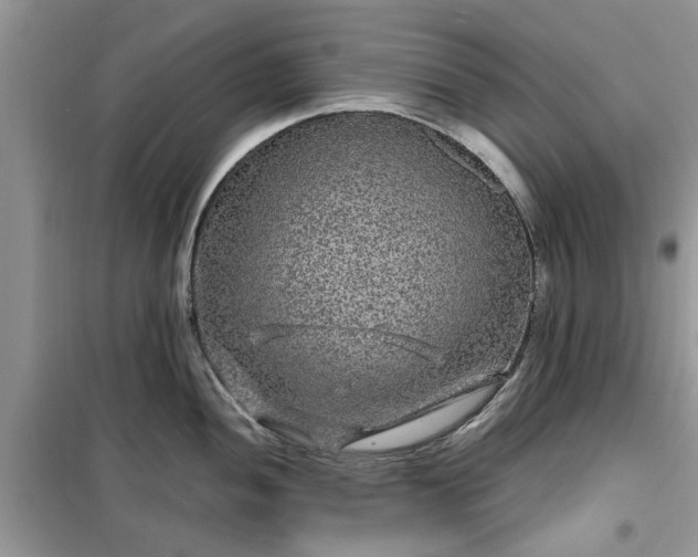 X0000099491052200805291103