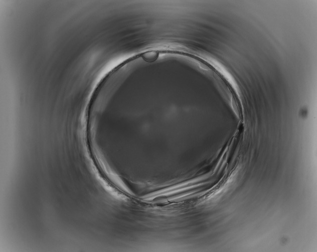 X0000099491053200805291103