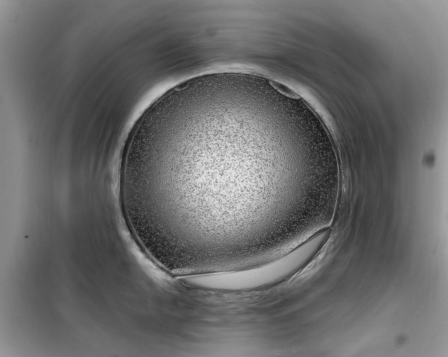 X0000099491054200805291103