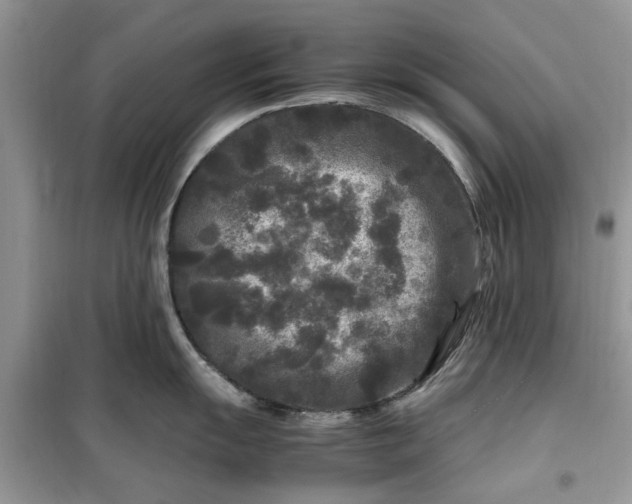 X0000099491055200805291103