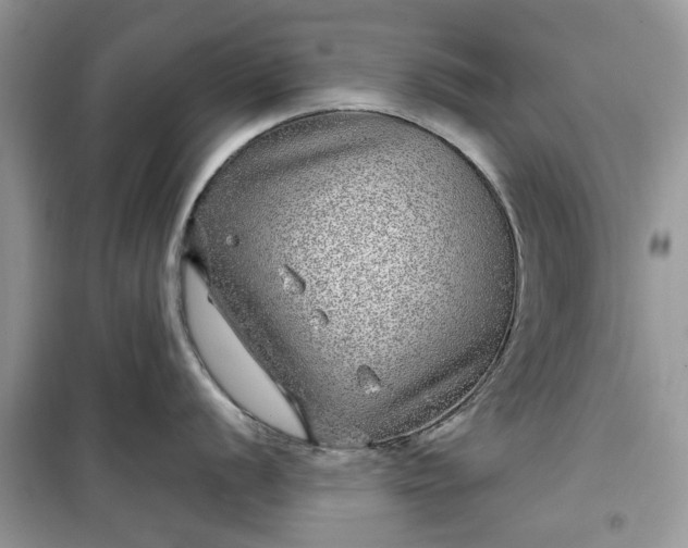 X0000099491056200805291103