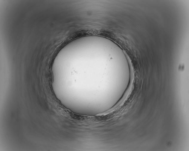 X0000099491057200805291102