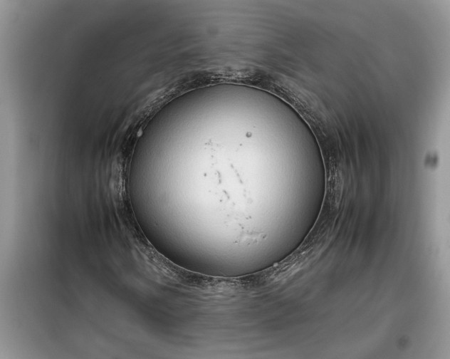 X0000099491058200805291102