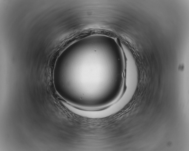 X0000099491062200805291102