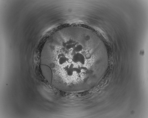 X0000099491063200805291102