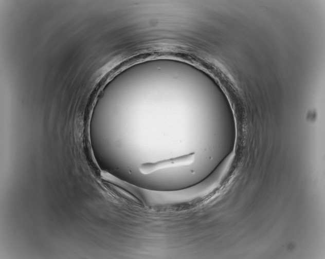 X0000099491065200805291102