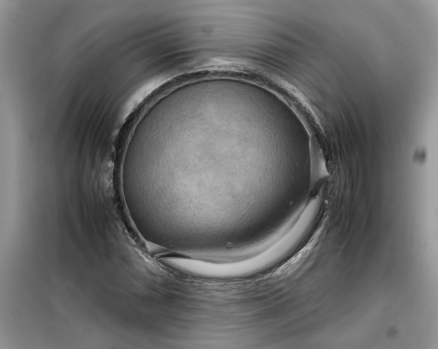 X0000099491066200805291102