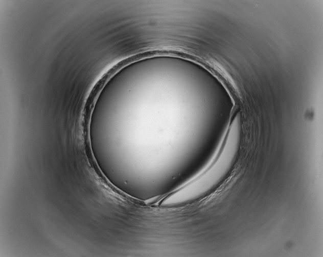 X0000099491068200805291102