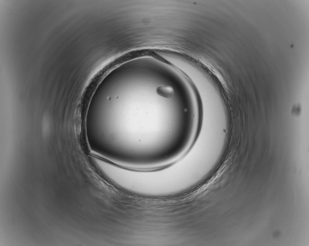 X0000099491069200805291102