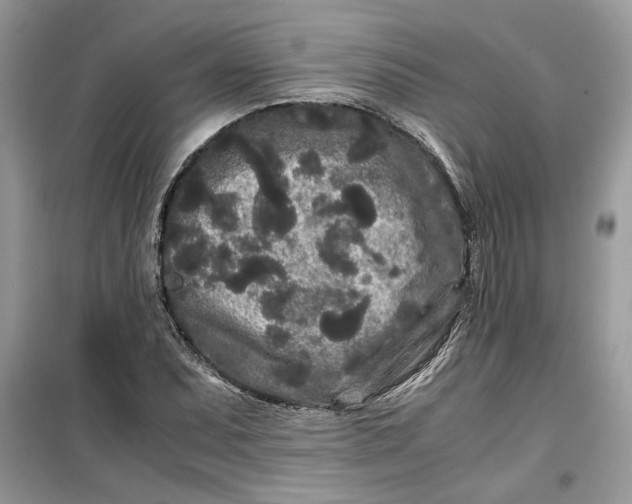 X0000099491071200805291102