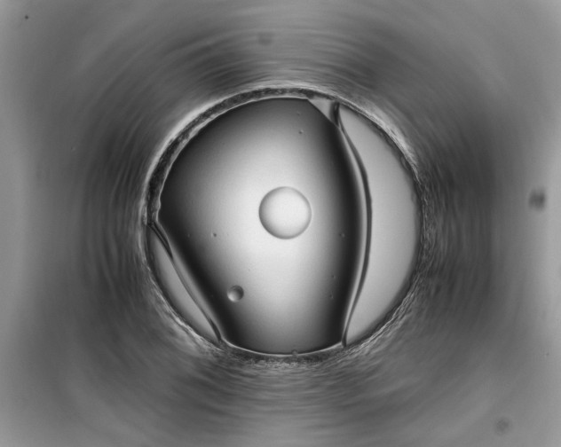 X0000099491076200805291102