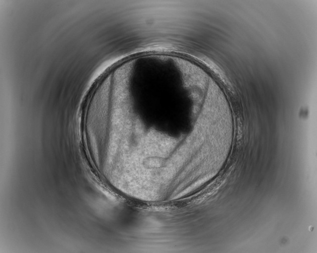 X0000099491078200805291102