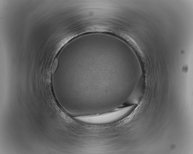 X0000099491081200805291102