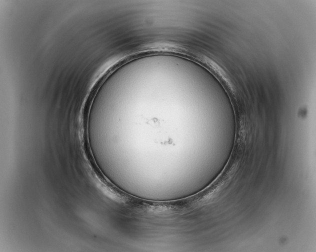 X0000099491082200805291101