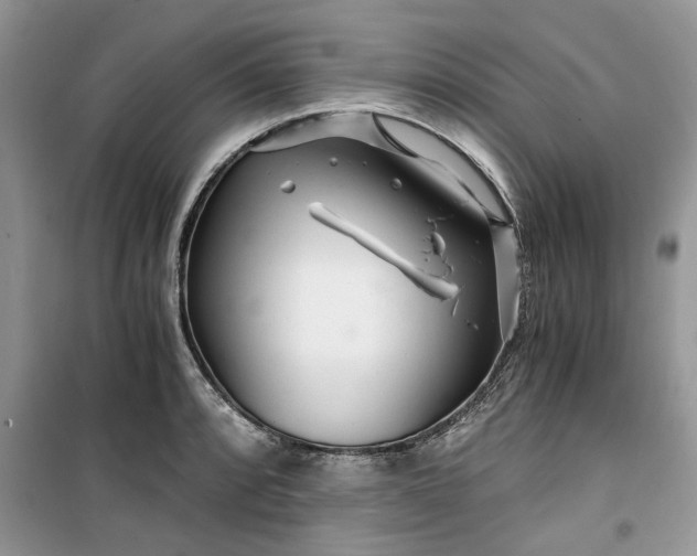 X0000099491088200805291101