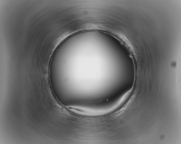 X0000099491089200805291101