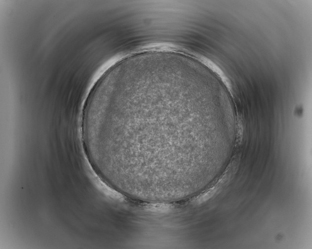 X0000099491090200805291101