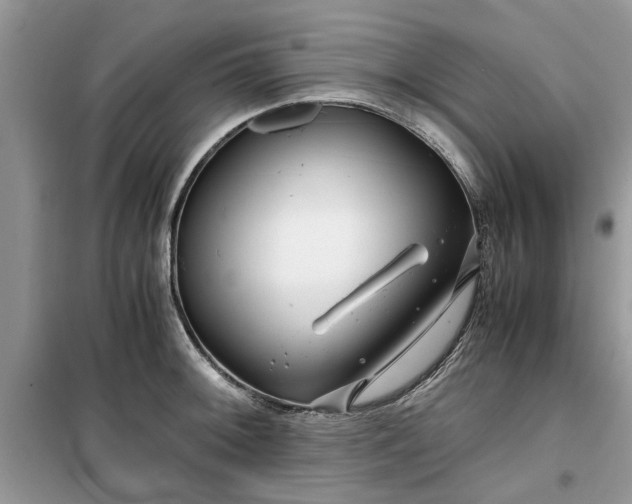 X0000099491092200805291101