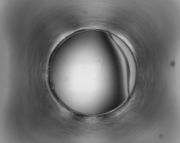 X0000099491093200805291101